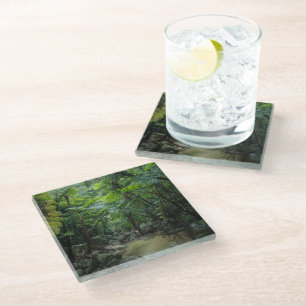 Forests   Iriomote Ishigaki National Park Glass Coaster