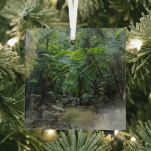 Forests Iriomote Ishigaki National Park Glass Tree Decoration