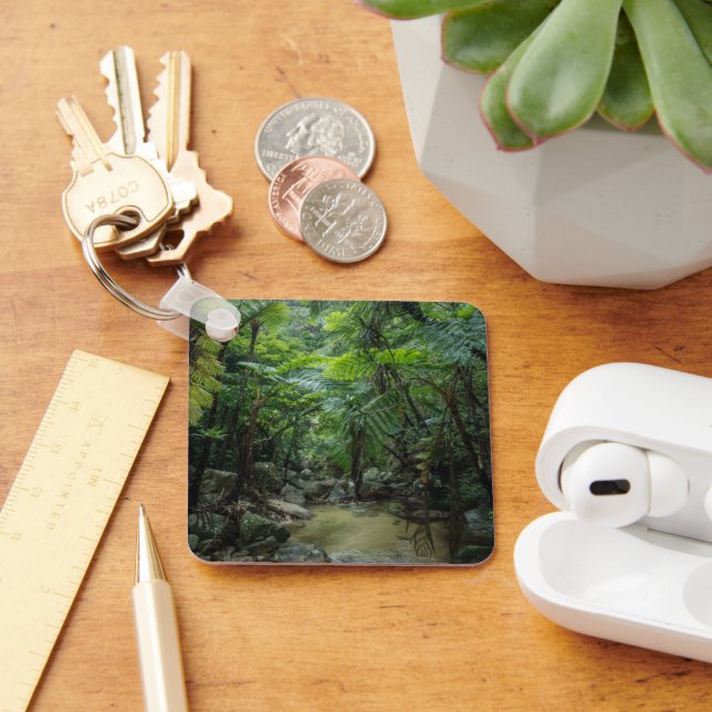 Forests | Iriomote Ishigaki National Park Key Ring (Desk)