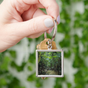 Forests   Iriomote Ishigaki National Park Key Ring