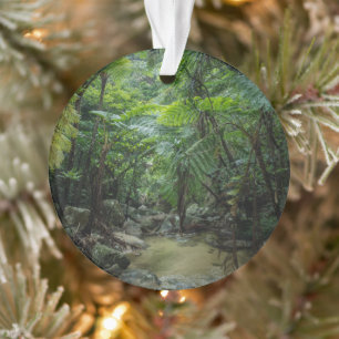 Forests   Iriomote Ishigaki National Park Ornament