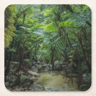 Forests Iriomote Ishigaki National Park Square Paper Coaster
