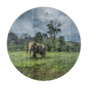 Forests   Kao Sok National Park Cutting Board