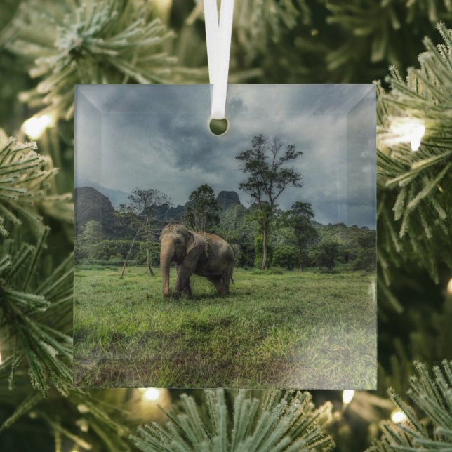 Forests | Kao Sok National Park Glass Tree Decoration (Insitu)