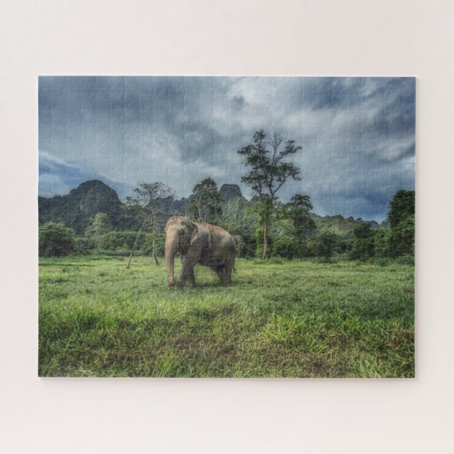 Forests | Kao Sok National Park Jigsaw Puzzle (Horizontal)