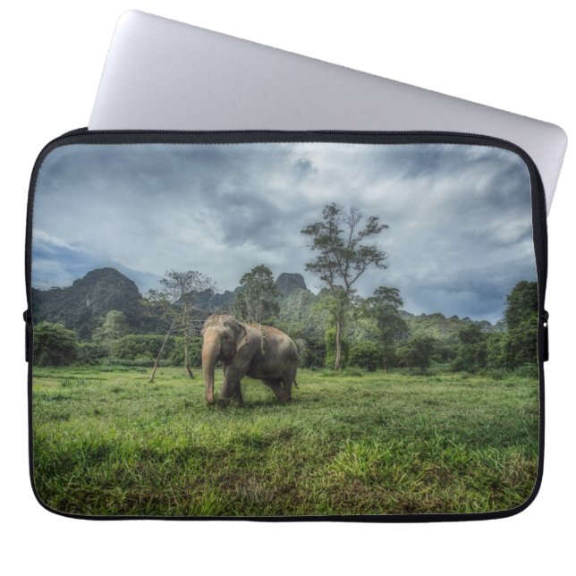 Forests | Kao Sok National Park Laptop Sleeve (Front)
