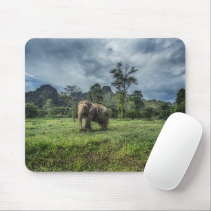 Forests Kao Sok National Park Mouse Mat