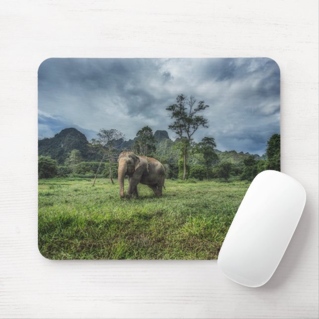 Forests | Kao Sok National Park Mouse Mat (With Mouse)