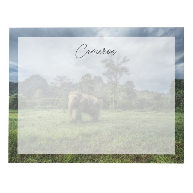 Forests | Kao Sok National Park Notepad (Front)