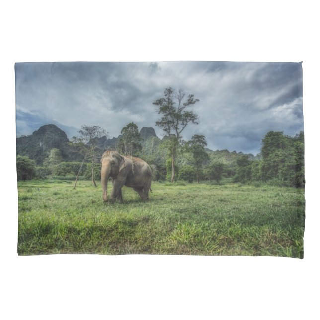 Forests | Kao Sok National Park Pillowcase (Front)
