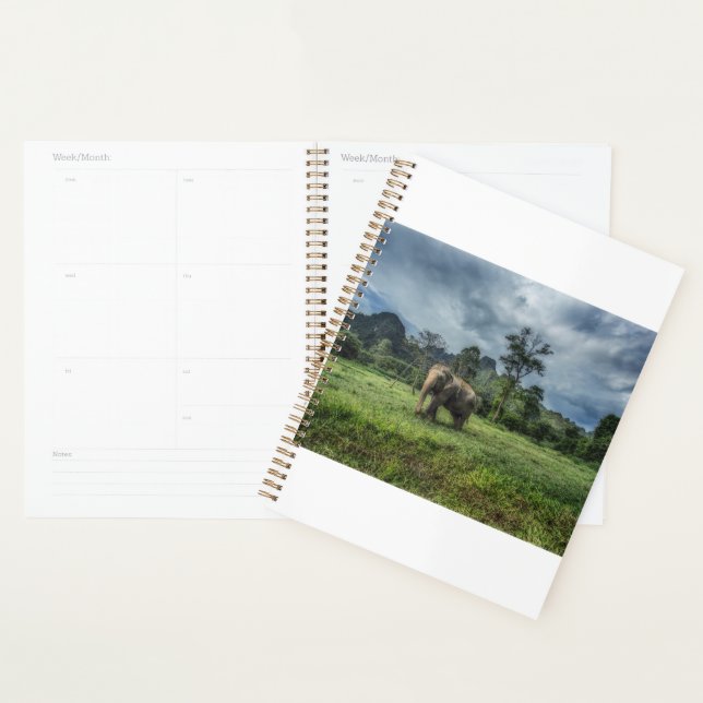 Forests | Kao Sok National Park Planner (Display)