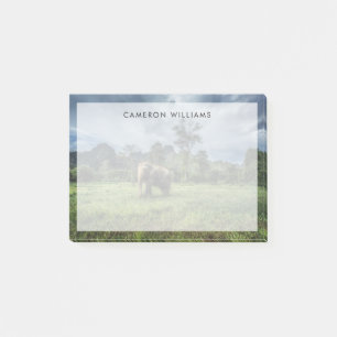 Forests   Kao Sok National Park Post-it Notes