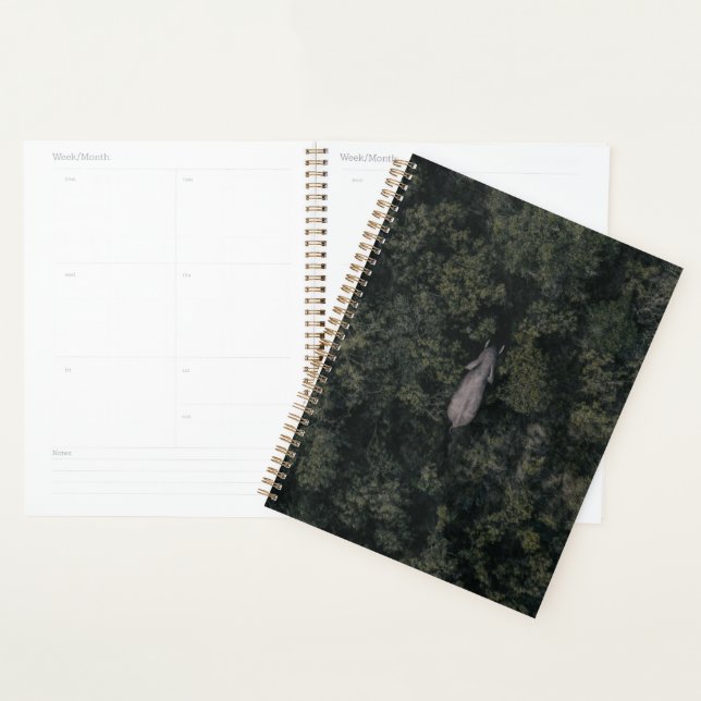 Forests | Lalibela Game Reserve Planner (Display)