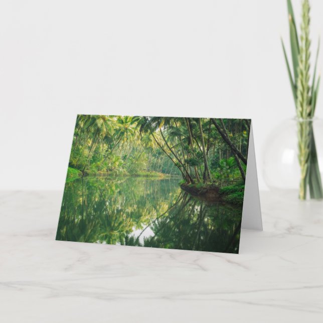 Forests | Mangrove Forest Card (Front)