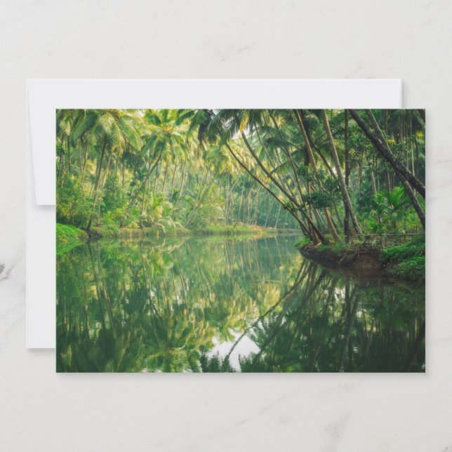 Forests | Mangrove Forest Thank You Card (Front)