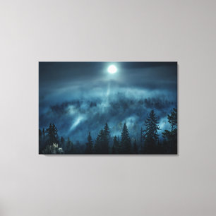 Forests   Moonlit Forest Canvas Print