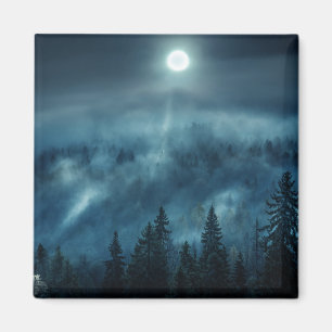 Forests Moonlit Forest Magnet