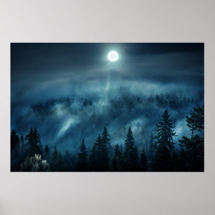 Forests Moonlit Forest Poster