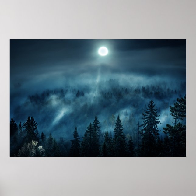 Forests | Moonlit Forest Poster (Front)