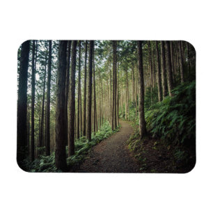 Forests Mountains of Wakayama Japan Magnet