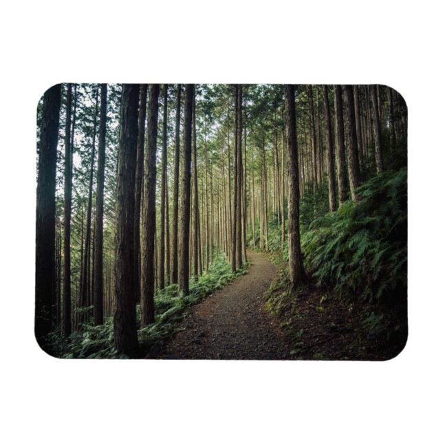 Forests | Mountains of Wakayama Japan Magnet (Horizontal)