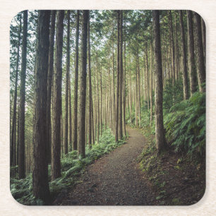 Forests   Mountains of Wakayama Japan Square Paper Coaster