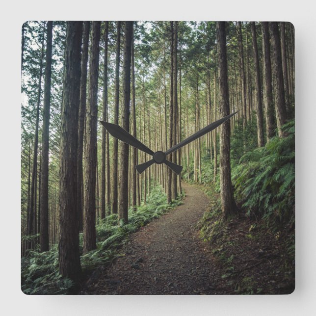 Forests | Mountains of Wakayama Japan Square Wall Clock (Front)