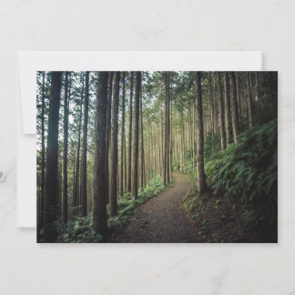 Forests | Mountains of Wakayama Japan Thank You Card
