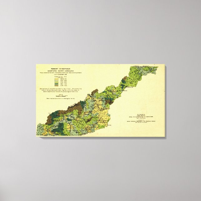 Forests of Western North CarolinaPanoramic Map Canvas Print (Front)