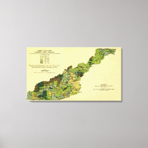 Forests of Western North CarolinaPanoramic Map Canvas Print