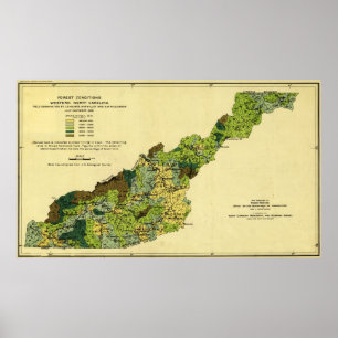 Forests of Western North CarolinaPanoramic Map Poster