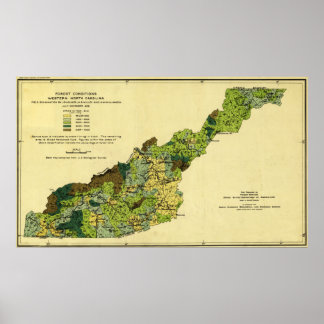Forests of Western North CarolinaPanoramic Map Poster