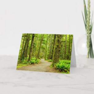 Forests Olympic National Park Card