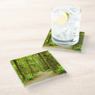 Forests   Olympic National Park Glass Coaster
