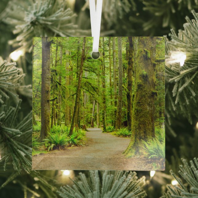 Forests | Olympic National Park Glass Tree Decoration (Insitu)