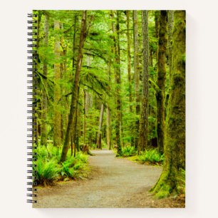 Forests Olympic National Park Notebook