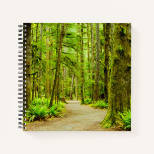 Forests Olympic National Park Notebook