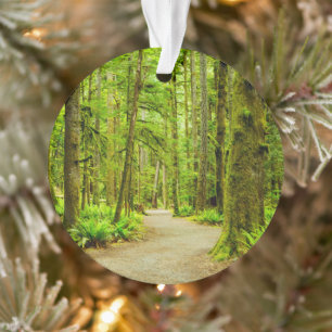 Forests   Olympic National Park Ornament