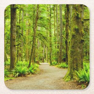 Forests   Olympic National Park Square Paper Coaster
