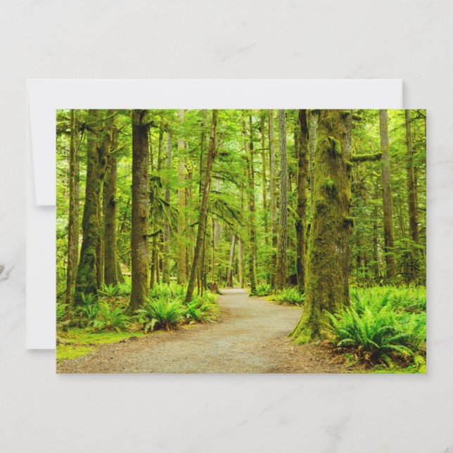 Forests | Olympic National Park Thank You Card (Front)