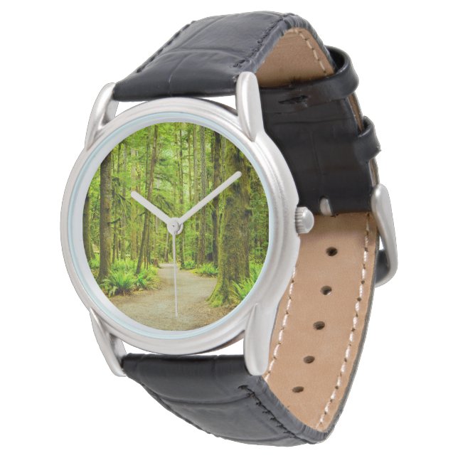 Forests | Olympic National Park Watch (Angled)