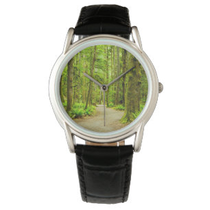 Forests   Olympic National Park Watch
