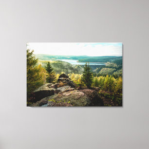 Forests   Ore Mountains Germany Canvas Print