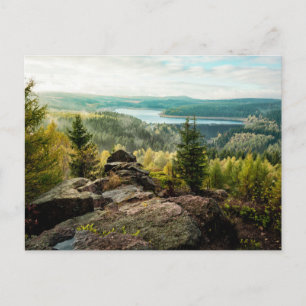 Forests   Ore Mountains Germany Postcard