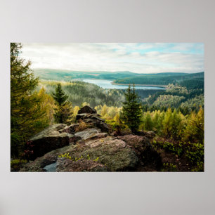 Forests   Ore Mountains Germany Poster
