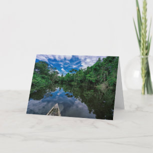 Forests Peruvian Jungle Forest Card