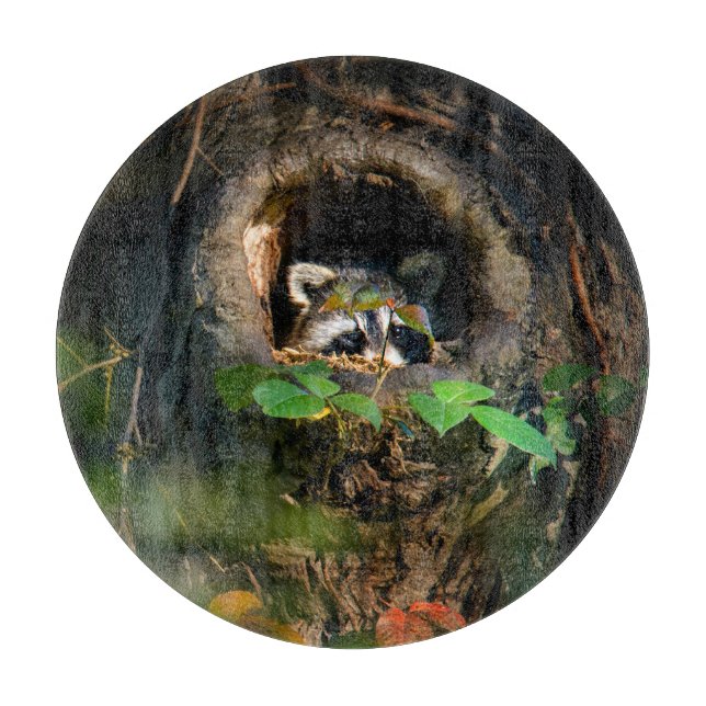 Forests | Racoon Peeking Cutting Board (Front)