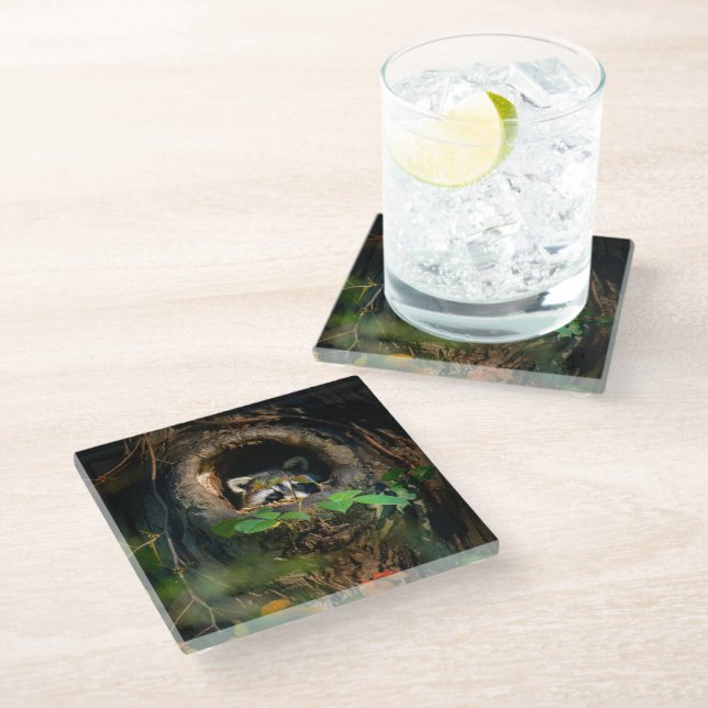 Forests | Racoon Peeking Glass Coaster (Angled)