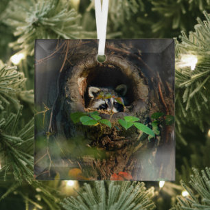 Forests   Racoon Peeking Glass Tree Decoration