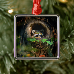 Forests Racoon Peeking Metal Tree Decoration